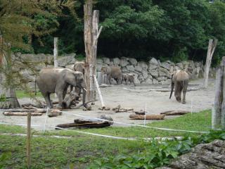 DSC03295.JPG