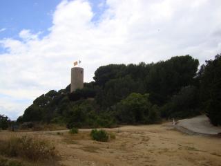 DSC04316.JPG