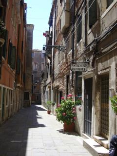 DSC09534.JPG