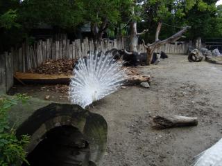 DSC03263.JPG