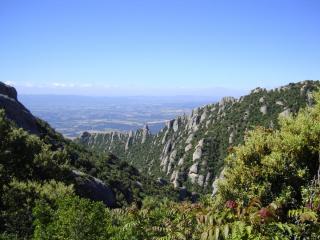 DSC04396.JPG