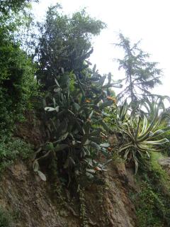 DSC04527.JPG