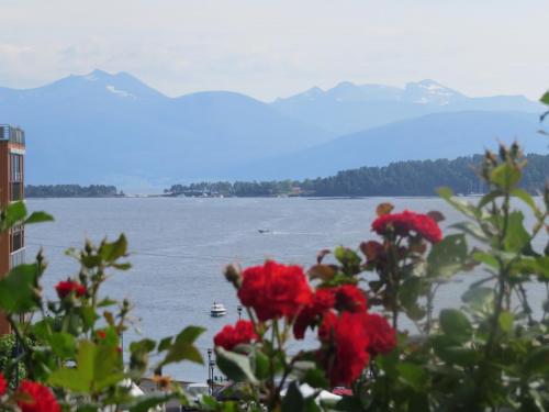 IMG_1625.JPG