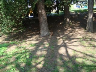 DSC01664.JPG
