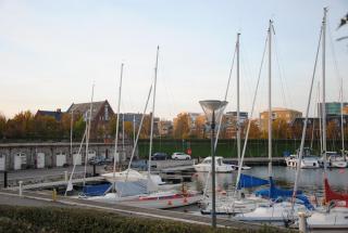 DSC_0210.JPG