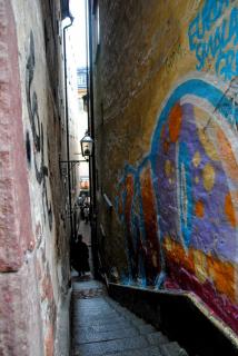 DSC_0346.JPG
