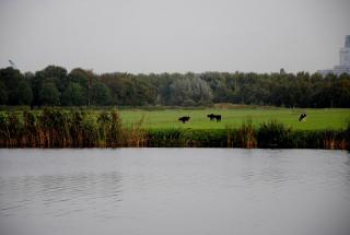DSC_0924.JPG