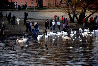 DSC_0337.JPG