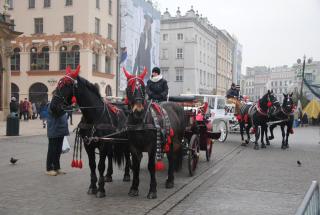 DSC_0048.JPG