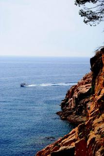 DSC_0865.JPG