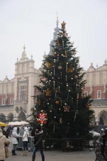 DSC_0044.JPG