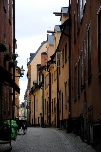 DSC_0137.JPG