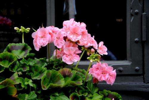 DSC_0158.JPG