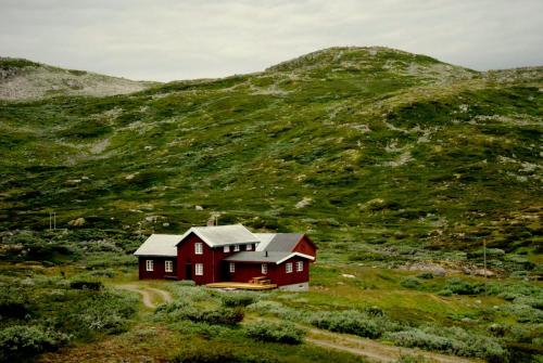 DSC_0270.JPG
