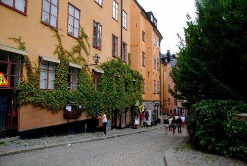DSC_0166.JPG
