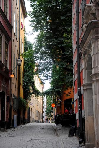 DSC_0180.JPG