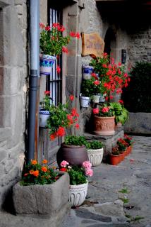 DSC_0681.JPG