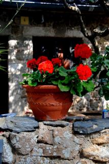 DSC_0868.JPG