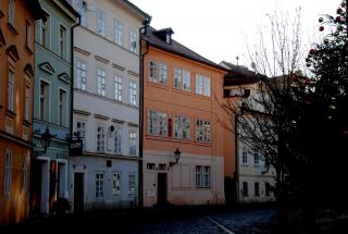 DSC_0215.JPG