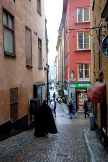 DSC_0309.JPG