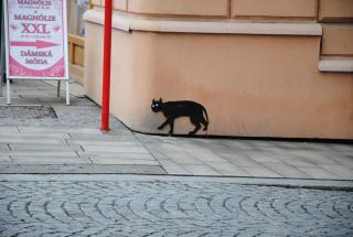 DSC_0117.JPG