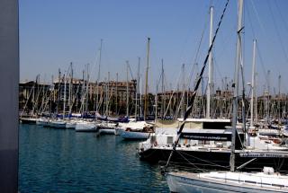 DSC_0487.JPG
