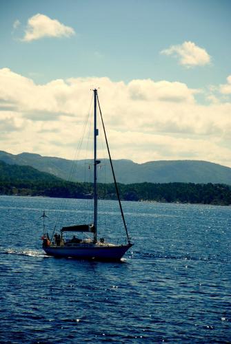 DSC_0571.JPG