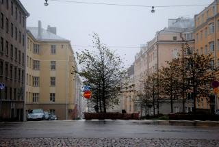 DSC_0395.JPG
