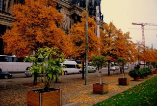 DSC_0158.JPG