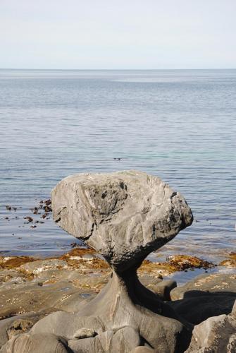 DSC_0819.JPG