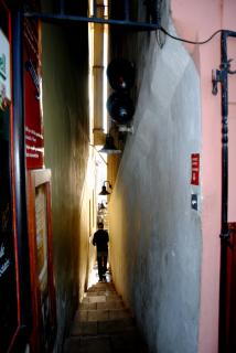 DSC_0205.JPG