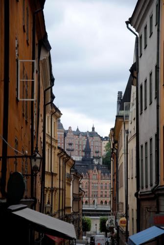 DSC_0138.JPG