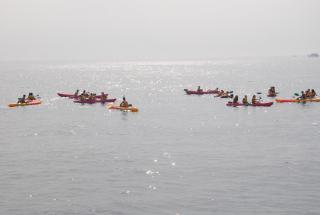 DSC_0839.JPG