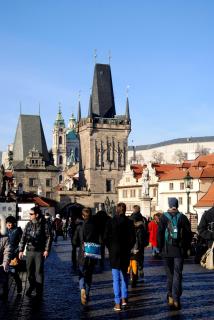 DSC_0217.JPG