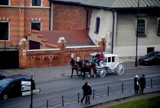 DSC_0028.JPG
