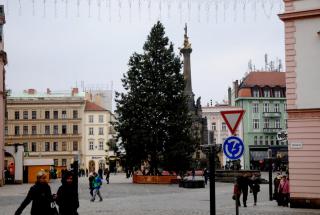 DSC_0132.JPG