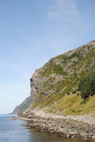 DSC_0824.JPG