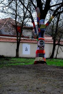 DSC_0033.JPG