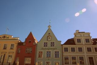 DSC_0453.JPG