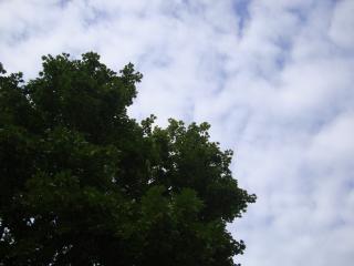 DSC07102.JPG