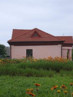 DSC06350.JPG