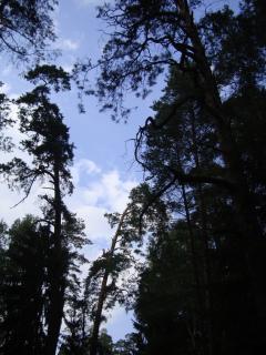 DSC06772.JPG