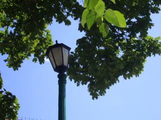 DSC06041.JPG