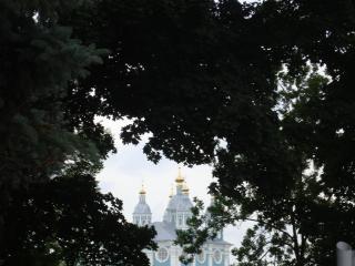 DSC07155.JPG