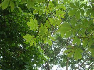 DSC06373.JPG