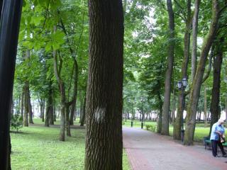 DSC07150.JPG