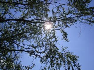 DSC06073.JPG