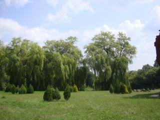 DSC06583.JPG