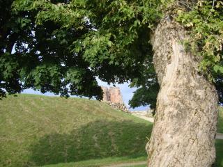 DSC07098.JPG
