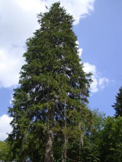 DSC06669.JPG